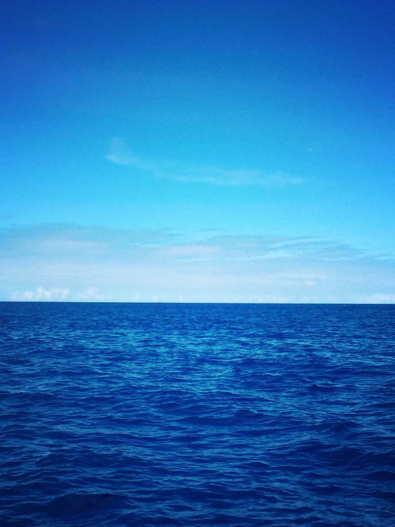 蓝海新闻手机版手机新闻软件哪个好-第1张图片-太平洋在线下载