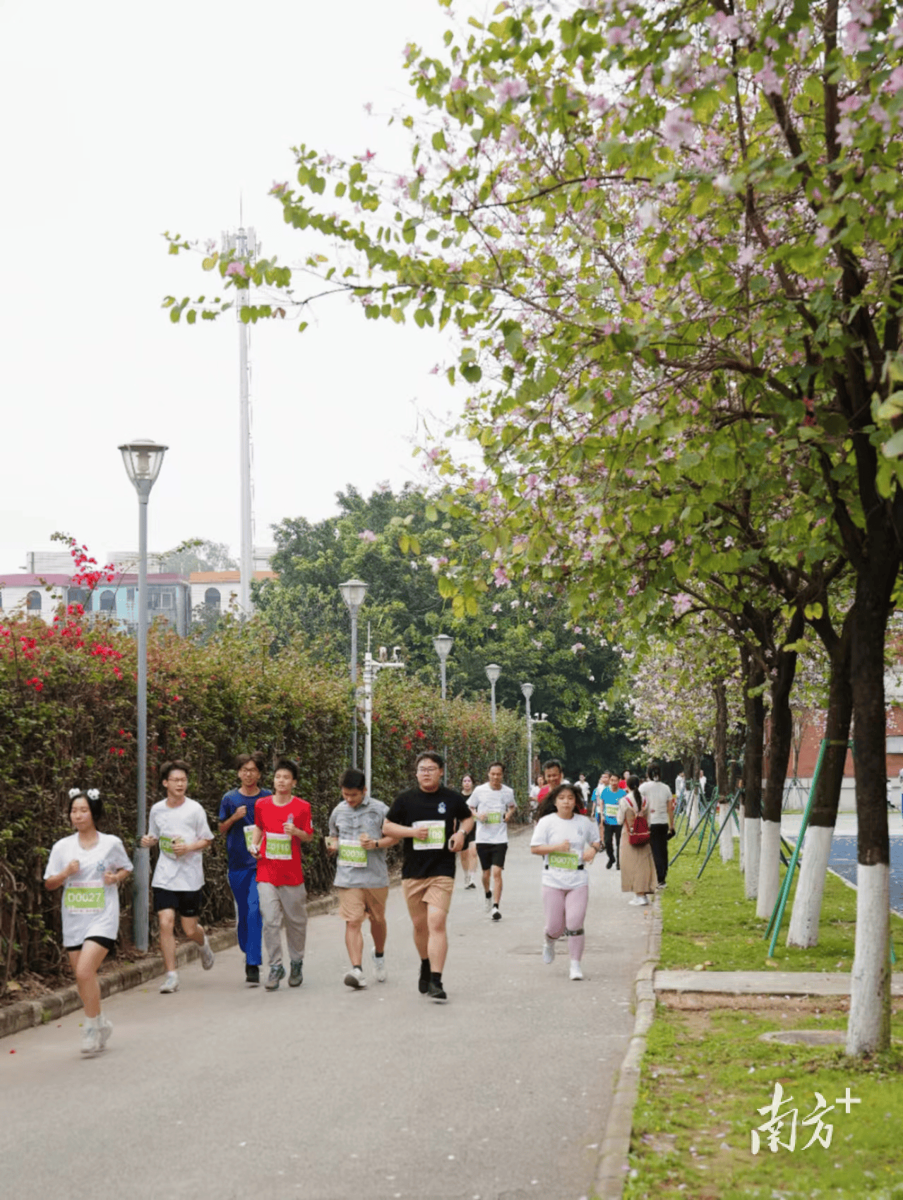 校园跑苹果版地铁跑酷国际服苹果版-第2张图片-太平洋在线下载