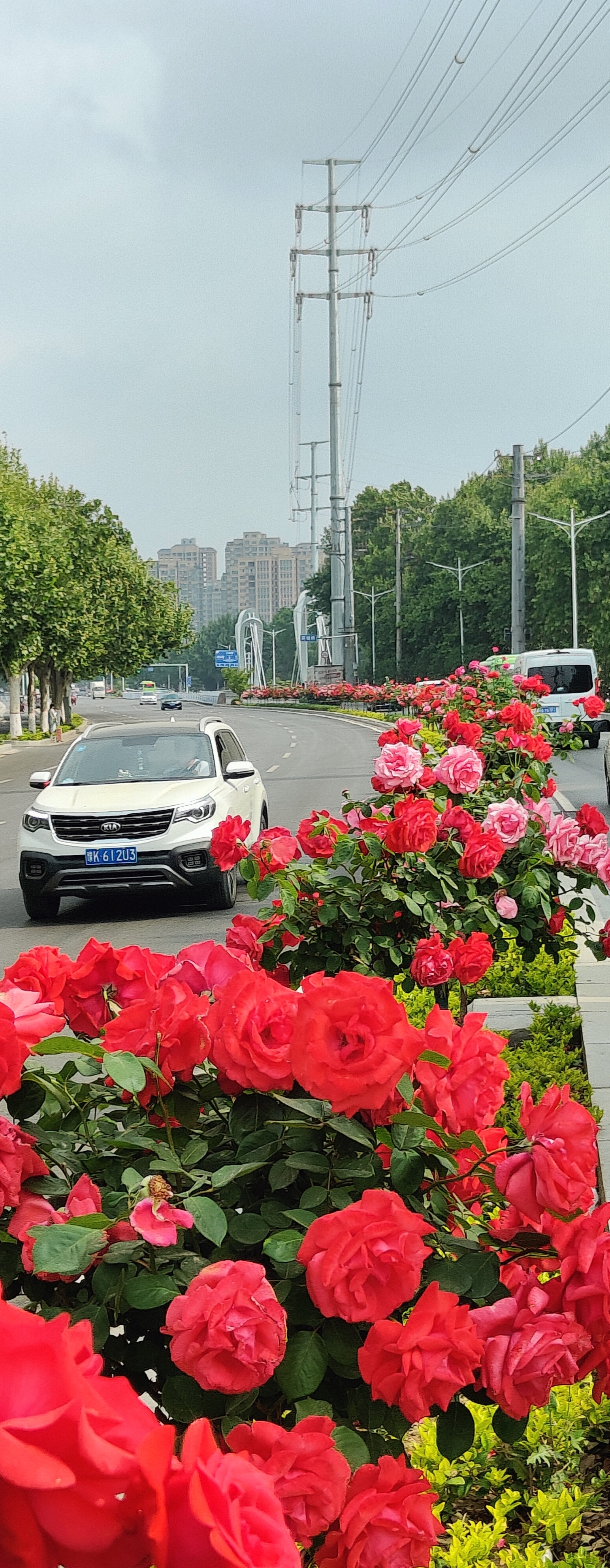 大象网客户端app大象新闻app电脑版下载安装官网-第1张图片-太平洋在线下载