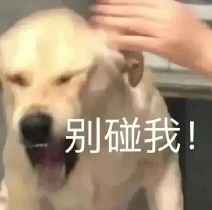 搞笑神器苹果版trollstore苹果手机下载
