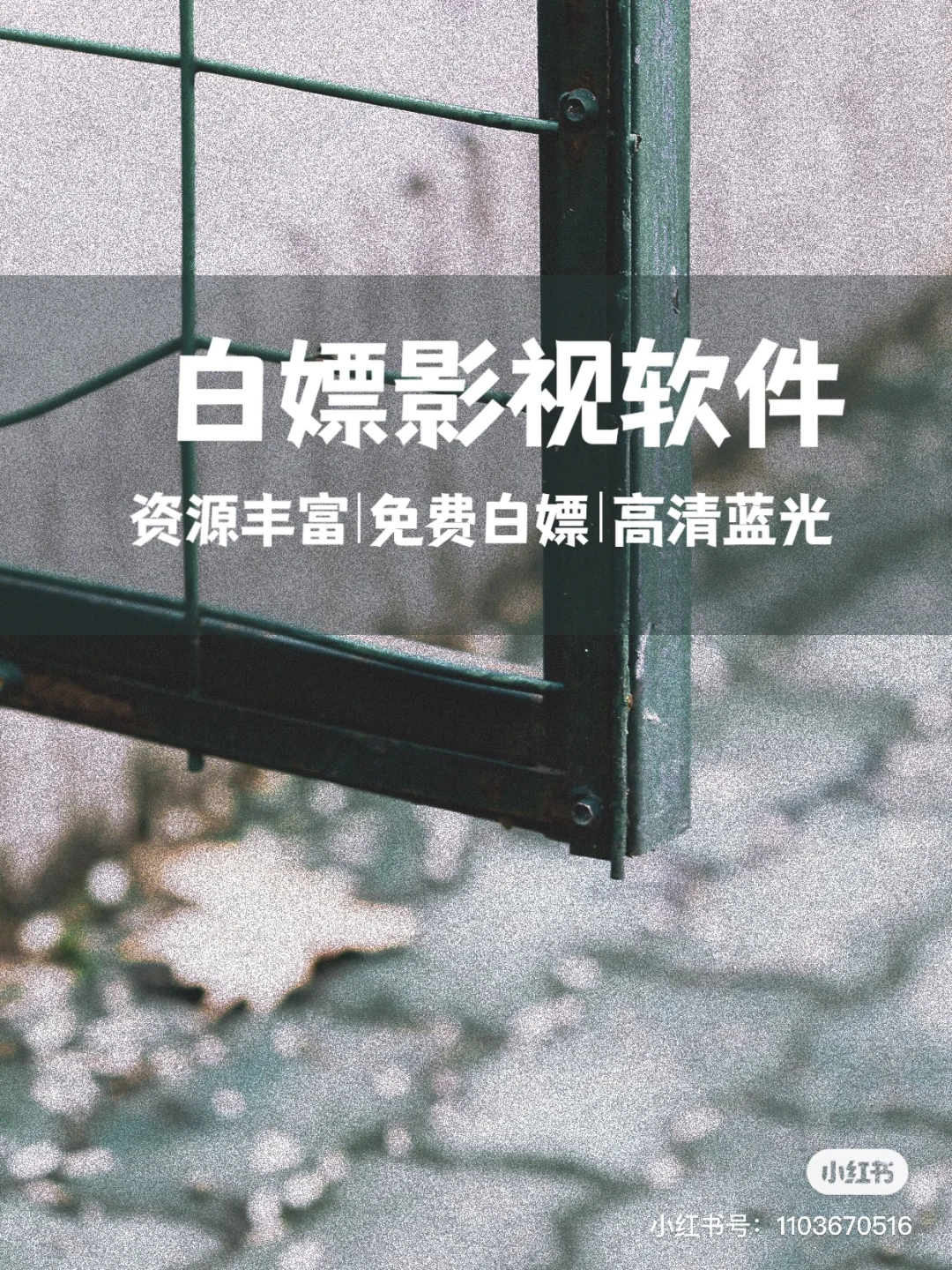 影视联盟苹果版注册苹果伪装上架影视app-第1张图片-太平洋在线下载