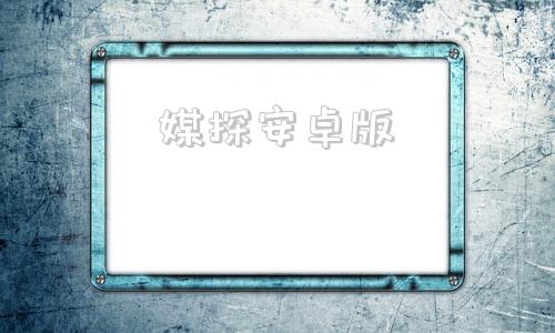 媒探安卓版影探apk安装包