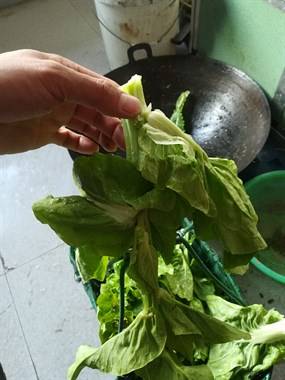 酷q社区安卓版酷酷狗app下载