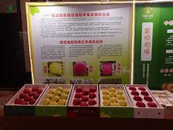 红苹果日文版红苹果日剧在线观看完整版-第2张图片-太平洋在线下载