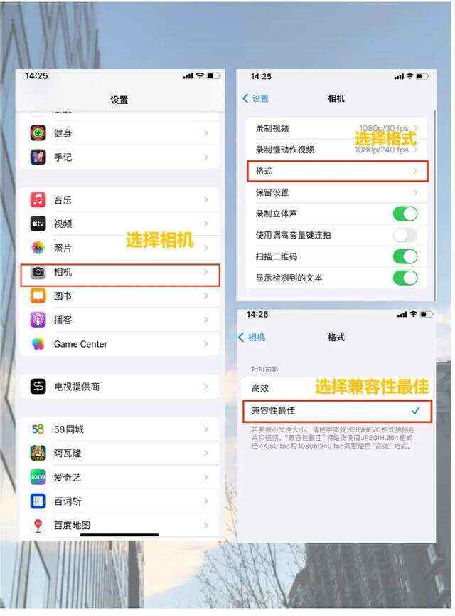 拍照攻略苹果版软件免费的ipad绘画软件-第2张图片-太平洋在线下载
