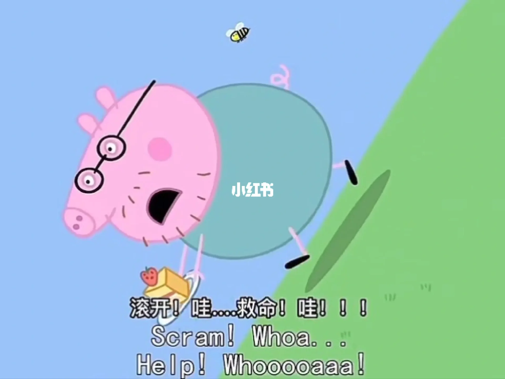 funenglish安卓版英孚smartenglish官网