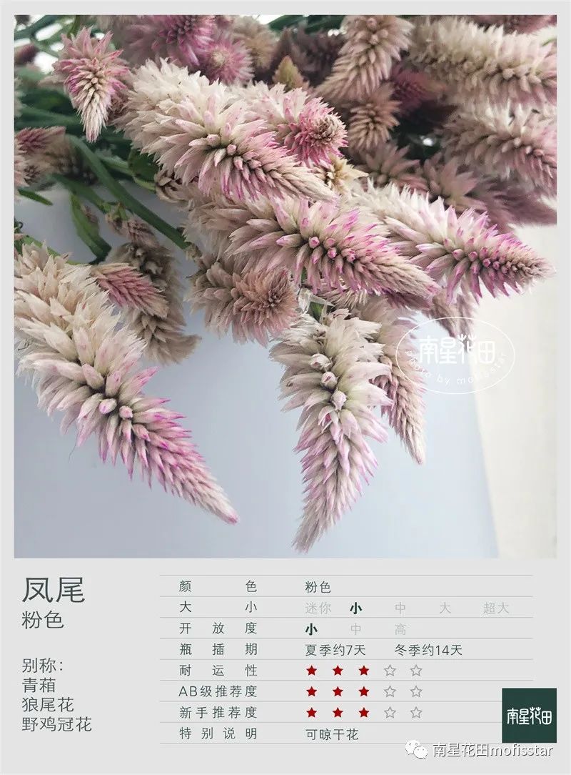 贴吧小尾巴手机版百度贴吧和豆瓣崩了