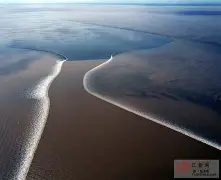 潮信下载苹果版正式版的简单介绍